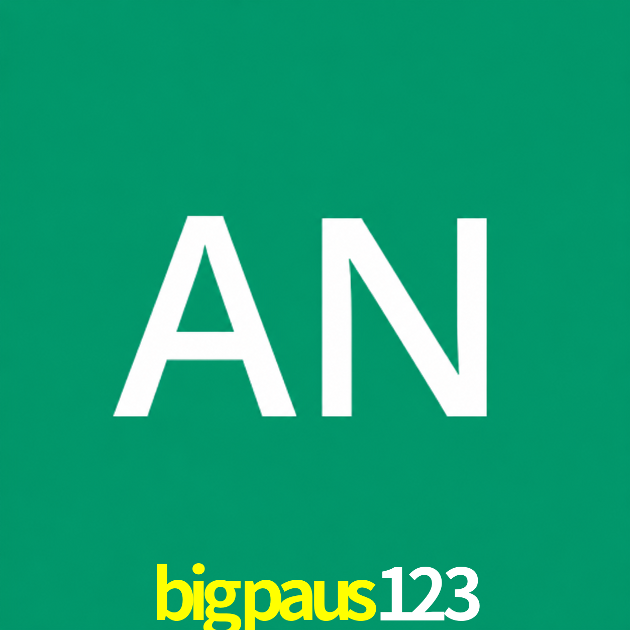 Adi Nugroho - Founder & CEO bigpaus123 Indonesia